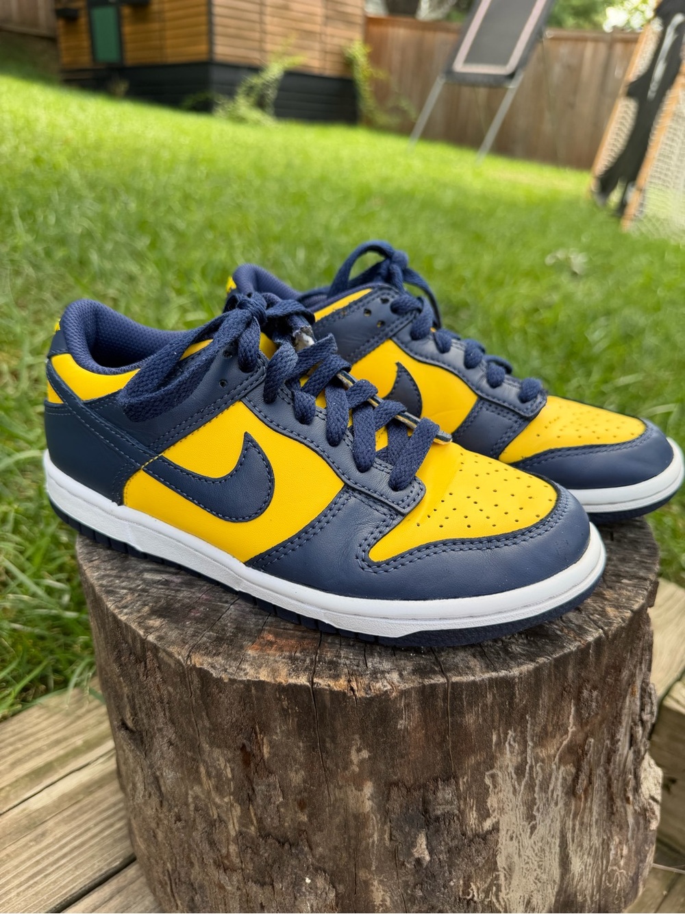 Nike Kids Low-Top Sneakers in Navy and Yellow Michigan Dunks